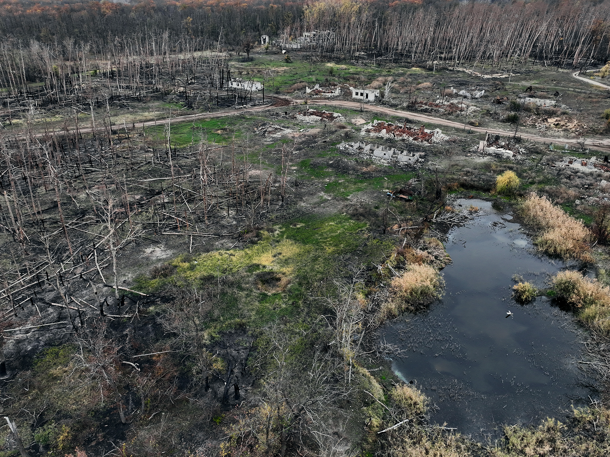 "Другого шансу не буде". Історія офіцера Лакі, який вийшов з оточення в Серебрянському лісі